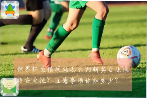 世界杯竞猜网站合法性判断指南